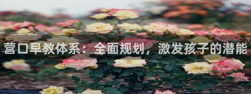 天顺娱乐03找32OO59：营口早教体系：全面规划，激发孩子的潜能