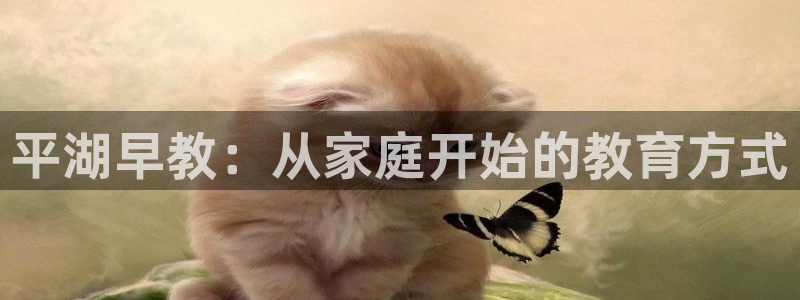 天顺娱乐赌钱的吗:平湖早教:从家庭开始的教育方式