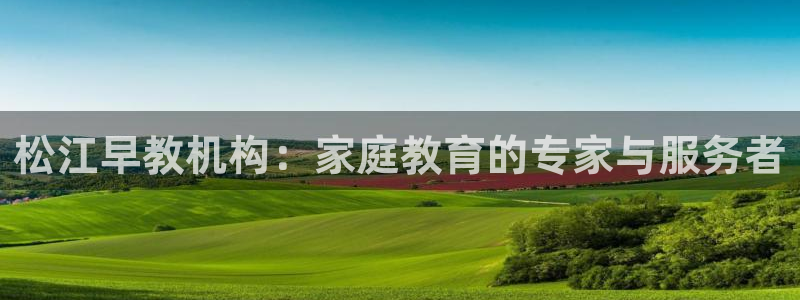 天顺娱乐入见pg22650：松江早教机构：家庭教育的专家与服务者