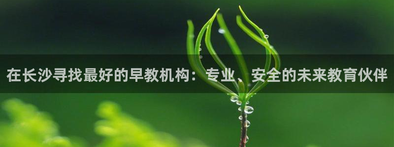 天顺娱乐蘸：在长沙寻找最好的早教机构：专业、安全的未来教育伙伴