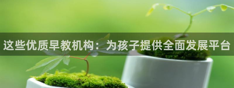 天顺娱乐角3300:这些优质早教机构:为孩子提供全面发展平台