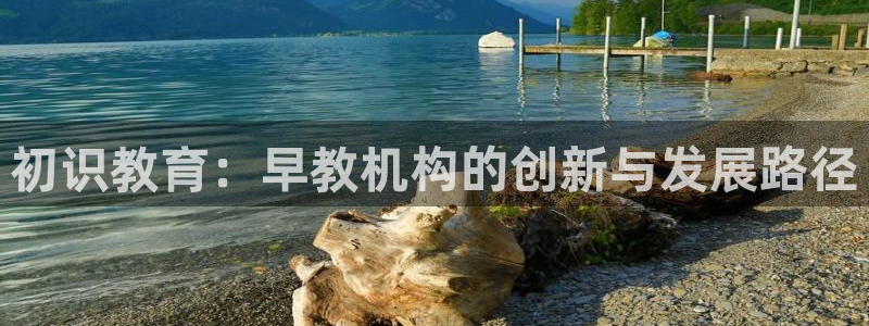 天顺娱乐手野22650：初识教育：早教机构的创新与发展路径