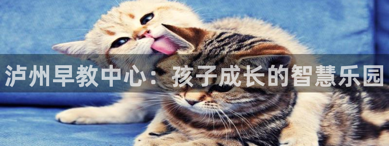 天顺娱乐六七五一38:泸州早教中心:孩子成长的智慧乐园
