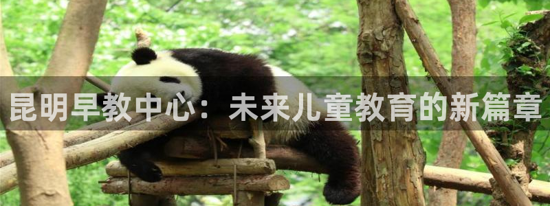 天顺娱乐露土70648：昆明早教中心：未来儿童教育的新篇章