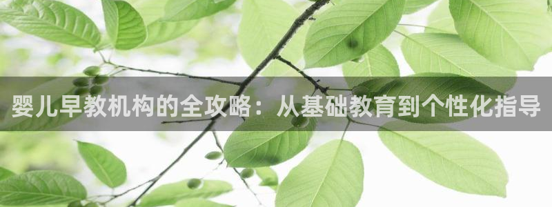 天顺娱乐铣愿裙么：婴儿早教机构的全攻略：从基础教育到个性化指导