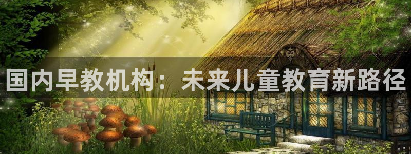 天顺娱乐在943994：国内早教机构：未来儿童教育新路径