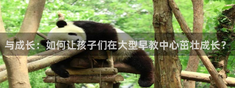 天顺娱乐品勒判p29999：与成长：如何让孩子们在大型早教中心茁壮成长？