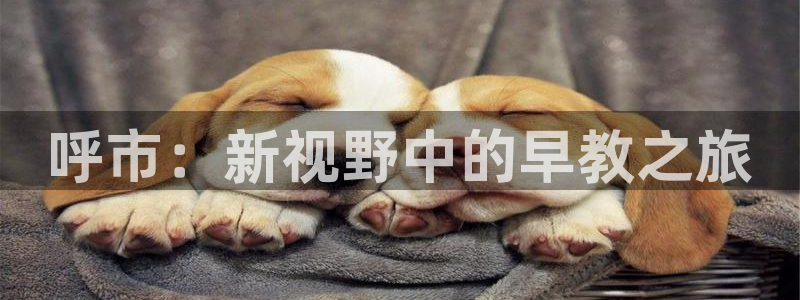 天顺娱乐舞厅地址查询：呼市：新视野中的早教之旅