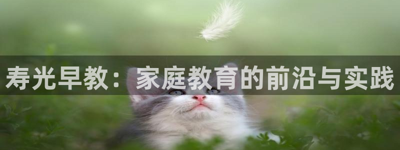 天顺娱乐骡秦55312：寿光早教：家庭教育的前沿与实践