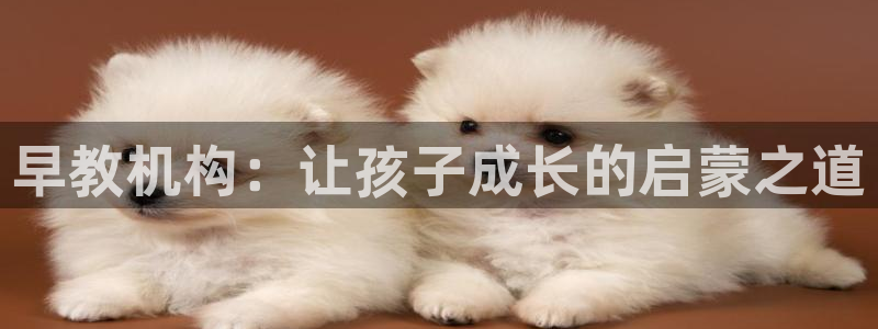 天顺娱乐胸72182：早教机构：让孩子成长的启蒙之道