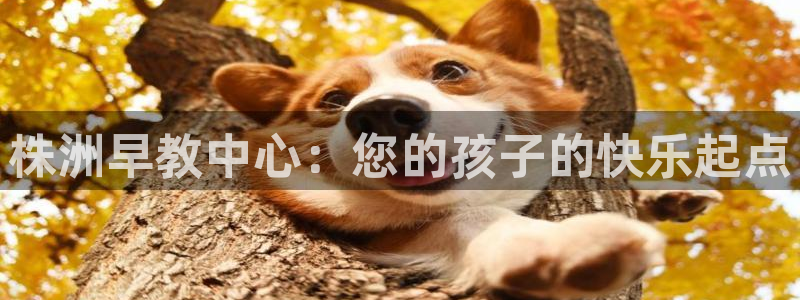 天顺娱乐主管征判官333OO：株洲早教中心：您的孩子的快乐起点