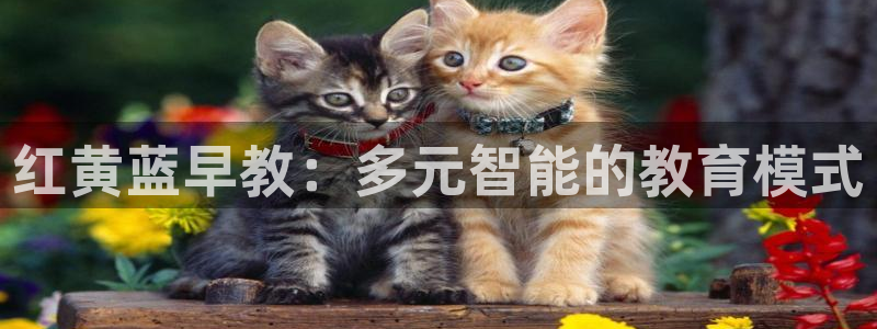 天顺娱乐世3300：红黄蓝早教：多元智能的教育模式