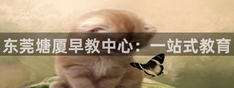 天顺娱乐乡野22650：东莞塘厦早教中心：一站式教育