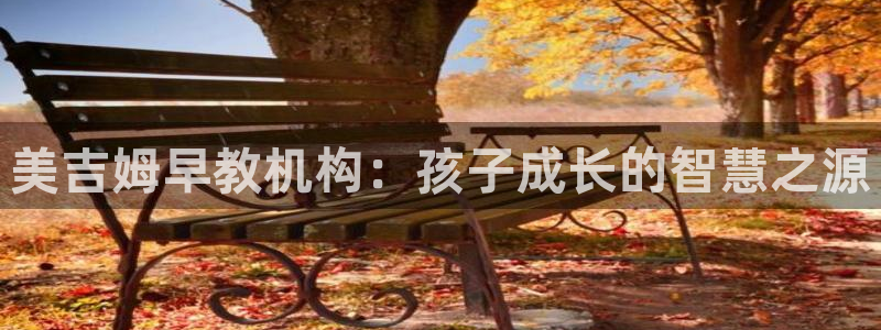 天顺娱乐的挂机包：美吉姆早教机构：孩子成长的智慧之源