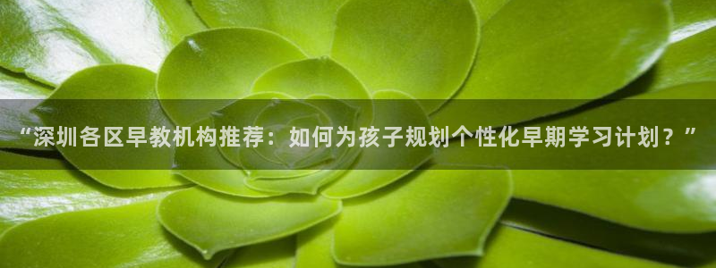 天顺娱乐 53339主o管t：“深圳各区早教机构推荐：如何为孩子规划个性化早期学
