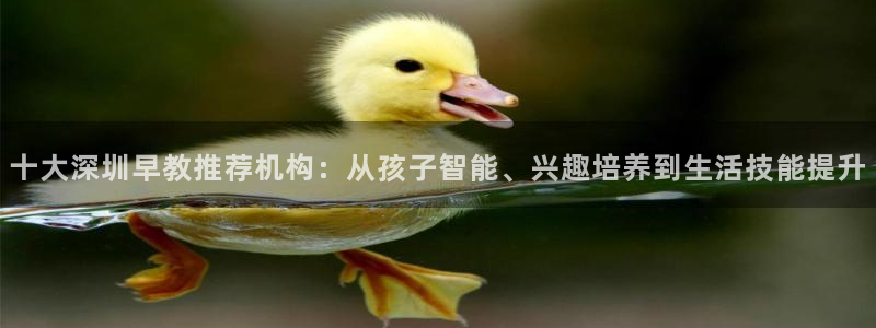 天顺娱乐开户：十大深圳早教推荐机构：从孩子智能、兴趣培养到生活技能提升