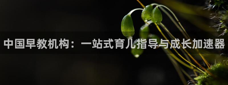 天顺娱乐注册主意 79270k：中国早教机构：一站式育儿指导与成长加速器
