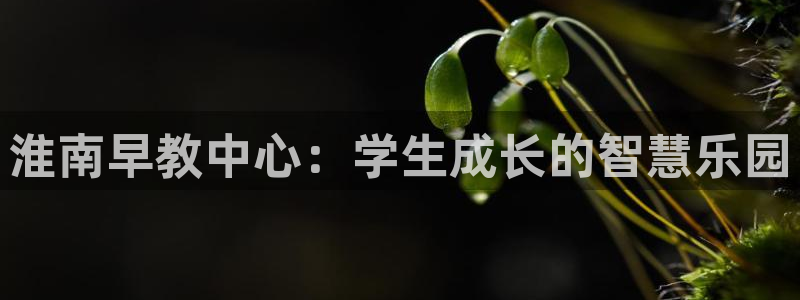 天顺娱乐网74ooo5判官：淮南早教中心：学生成长的智慧乐园