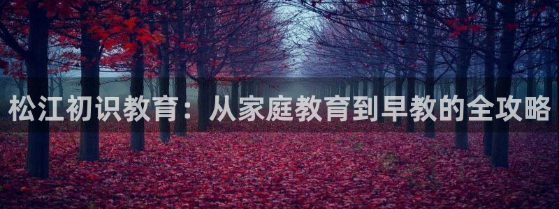 天顺娱乐找超越qv382223：松江初识教育：从家庭教育到早教的全攻略