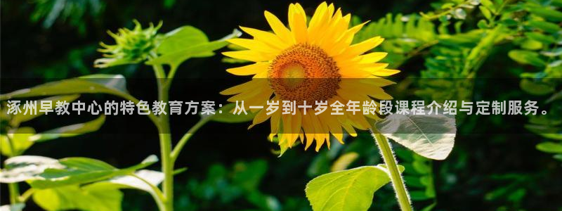 天顺娱乐团74ooo5刮陶：涿州早教中心的特色教育方案：从一岁到十岁全年龄段课程