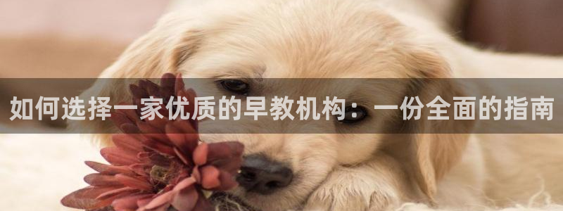 天顺娱乐nu金氵手氵指rx：如何选择一家优质的早教机构：一份全面的指南