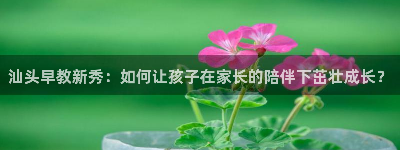 天顺娱乐盘螺判p29999:汕头早教新秀:如何让孩子在家长的陪伴下茁壮成长?