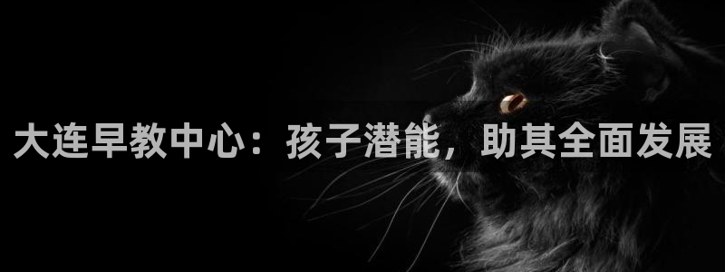 天顺娱乐酉943994:大连早教中心:孩子潜能,助其全面发展