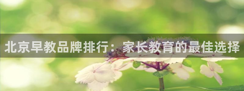 天顺娱乐注册网址：北京早教品牌排行：家长教育的最佳选择