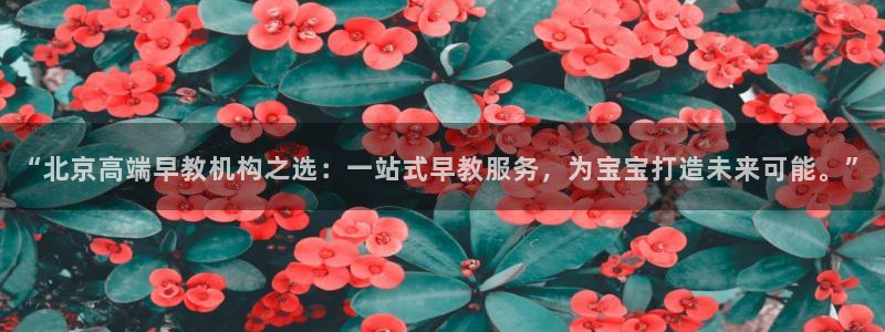 天顺娱乐代理网址大全：“北京高端早教机构之选：一站式早教服务，为宝宝打造未来可能