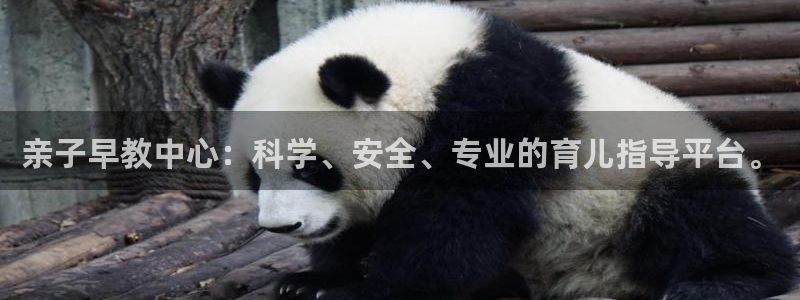 天顺娱乐是干嘛的：亲子早教中心：科学、安全、专业的育儿指导平台。