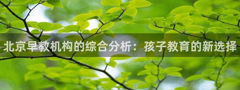 天顺娱乐网74OOO5：北京早教机构的综合分析：孩子教育的新选择