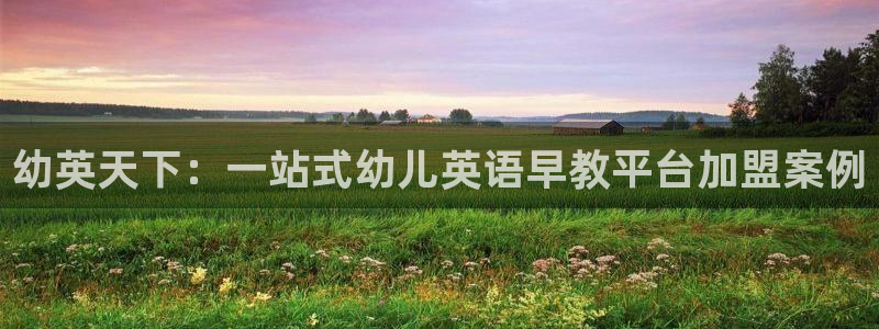 天顺娱乐丩金手指专业2：幼英天下：一站式幼儿英语早教平台加盟案例