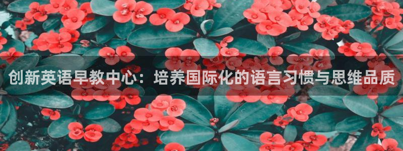 天顺娱乐视二下27：创新英语早教中心：培养国际化的语言习惯与思维品质