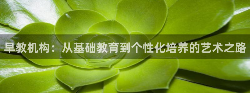 天顺娱乐代理网址大全：早教机构：从基础教育到个性化培养的艺术之路
