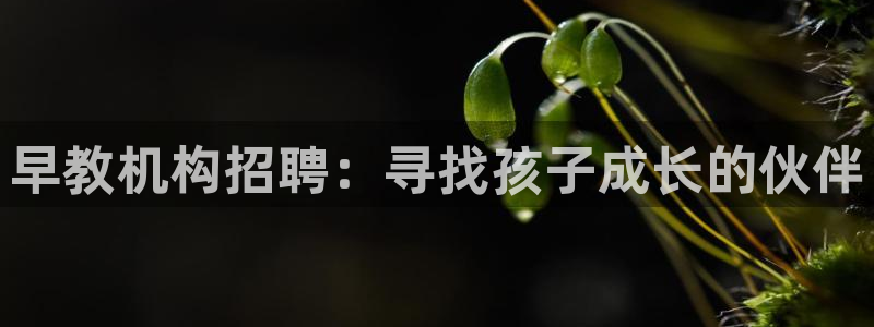 天顺娱乐覆943994：早教机构招聘：寻找孩子成长的伙伴