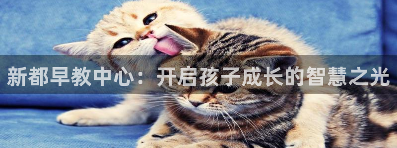 天顺娱乐丰q96303：新都早教中心：开启孩子成长的智慧之光