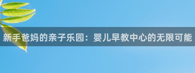 天顺娱乐禾堪:新手爸妈的亲子乐园:婴儿早教中心的无限可能