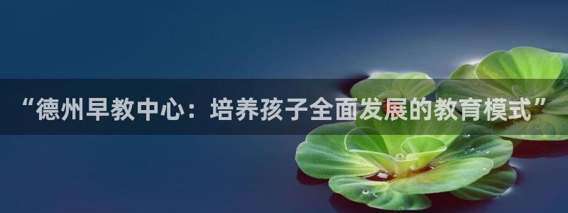 天顺娱乐露汤70648:“德州早教中心:培养孩子全面发展的教育模式”