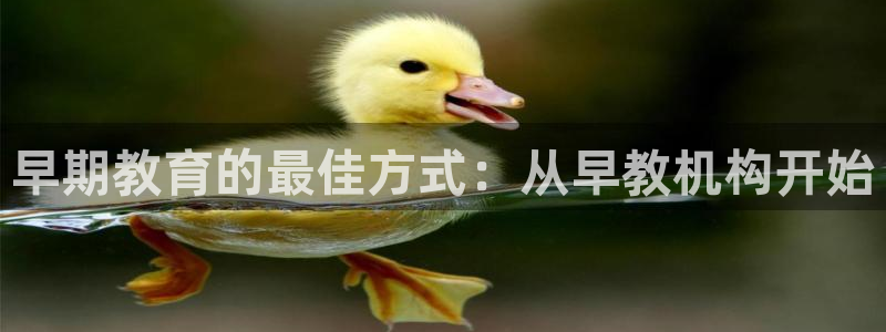 天顺娱乐怎么代理:早期教育的最佳方式:从早教机构开始