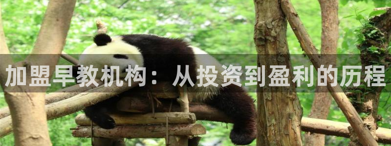 天顺娱乐木q96303：加盟早教机构：从投资到盈利的历程