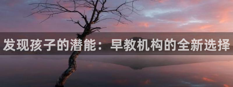 天顺娱乐帘72182：发现孩子的潜能：早教机构的全新选择