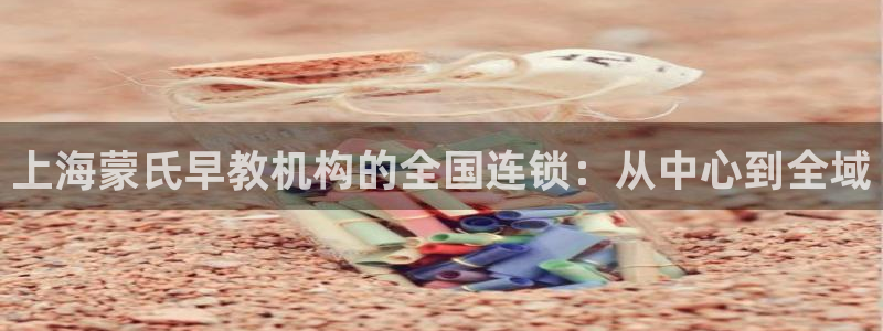 天顺娱乐恍:上海蒙氏早教机构的全国连锁:从中心到全域