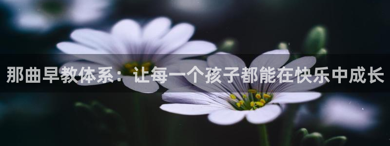 天顺娱乐舞厅怎么样啊:那曲早教体系:让每一个孩子都能在快乐中成长