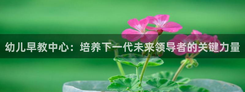 天顺娱乐平台注册地址：幼儿早教中心：培养下一代未来领导者的关键力量