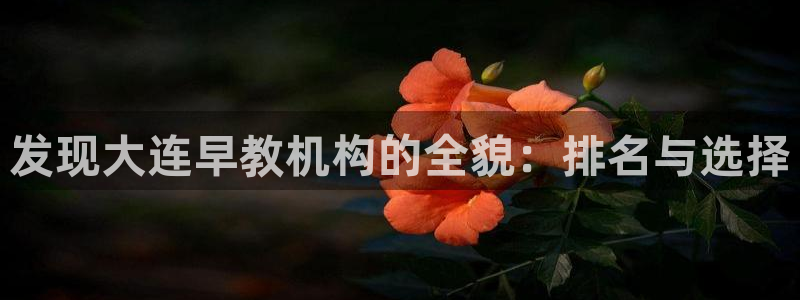 天顺彩票娱乐平台简介:发现大连早教机构的全貌:排名与选择