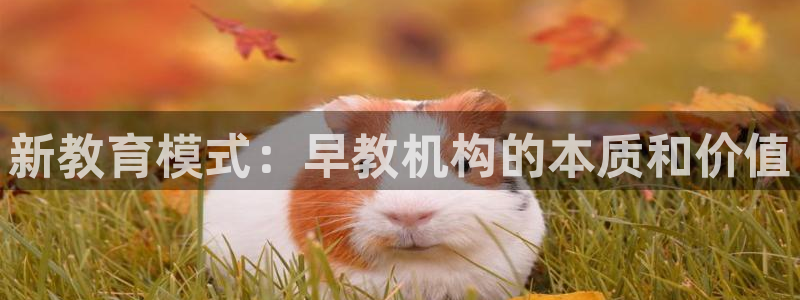 天顺娱乐平台登录测速:新教育模式:早教机构的本质和价值