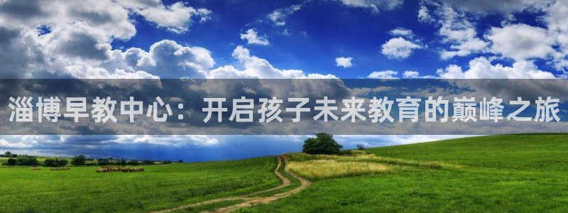 天顺娱乐负责人凵化pg22650:淄博早教中心:开启孩子未来教育的巅峰之旅