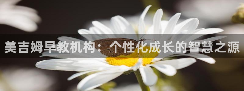 天顺娱乐枷70 48:美吉姆早教机构:个性化成长的智慧之源